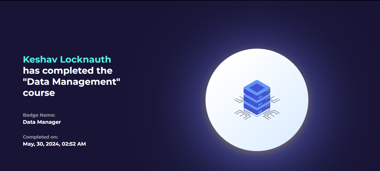 LetsDefend Data Manager badge