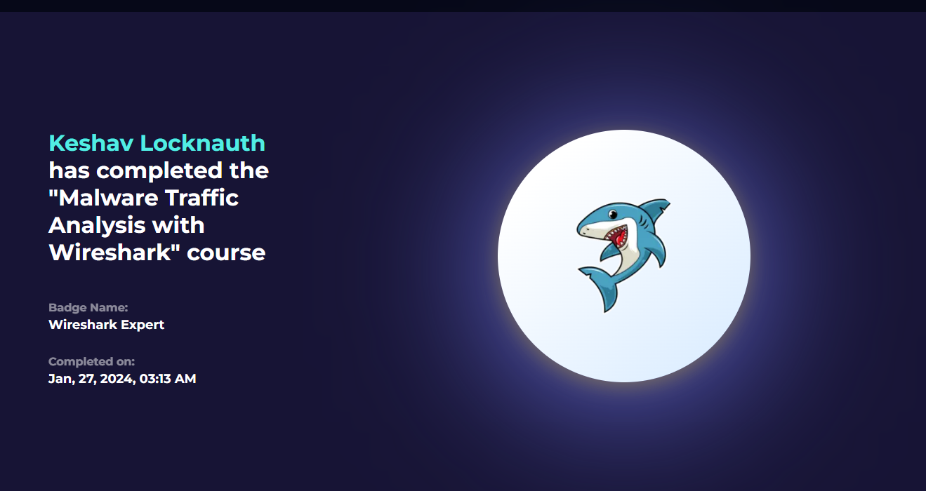LetsDefend Wireshark Expert badge